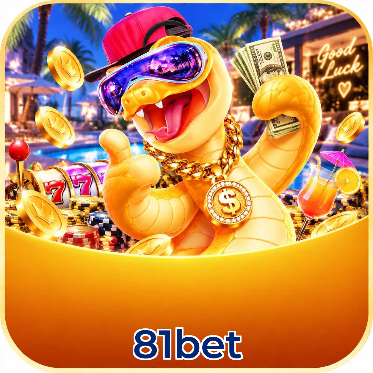 Pacote Completo do App 81bet